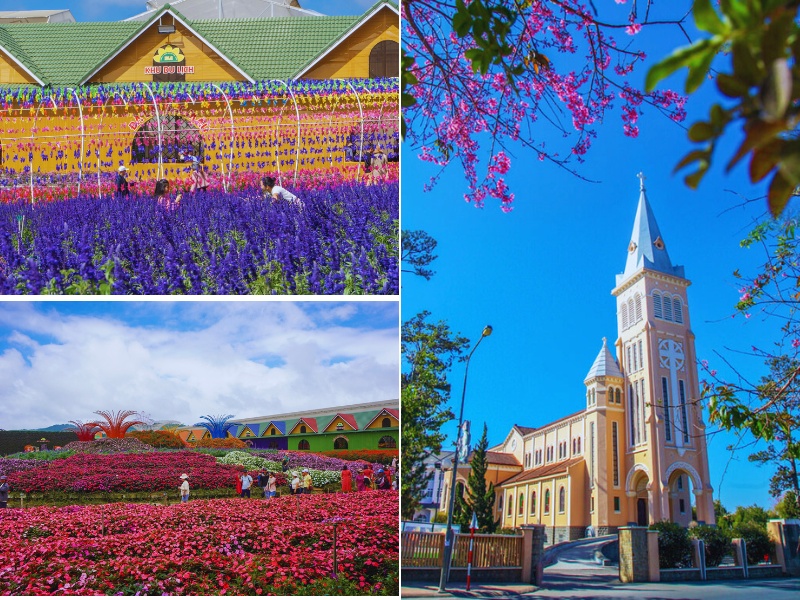 tour du lịch Vinh Đà Lạt 3 ngày 2 đêm