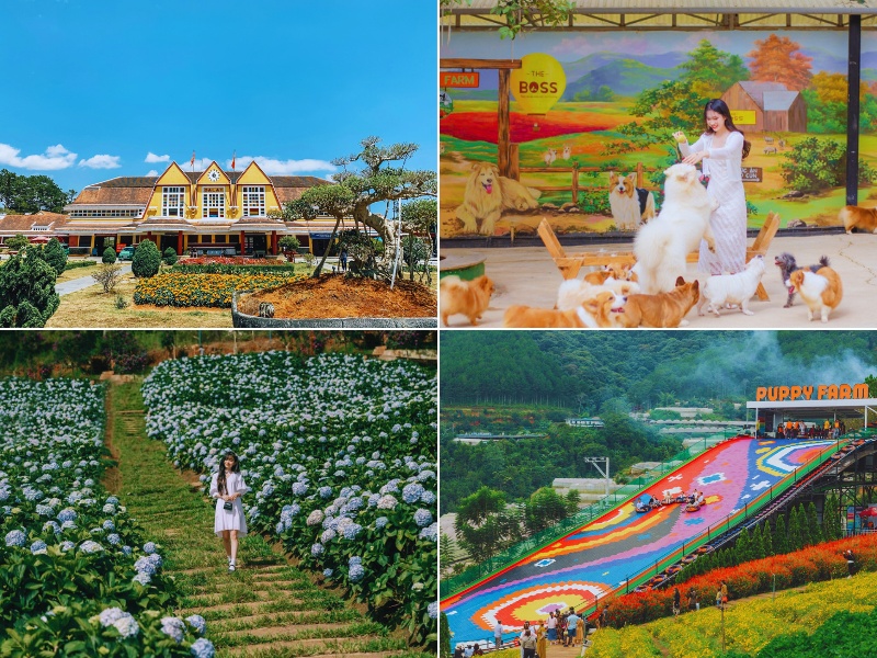 tour đà lạt khởi hành từ Vũng Tàu