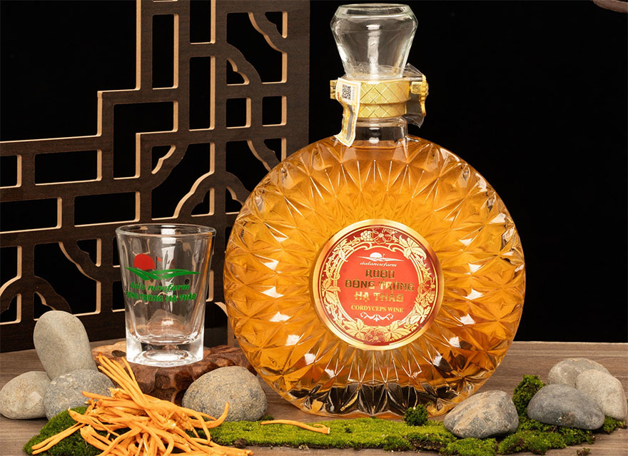 Đông trùng hạ thảo ngâm rượu Đà Lạt Đông trùng hạ thảo ngâm rượu Đà Lạt