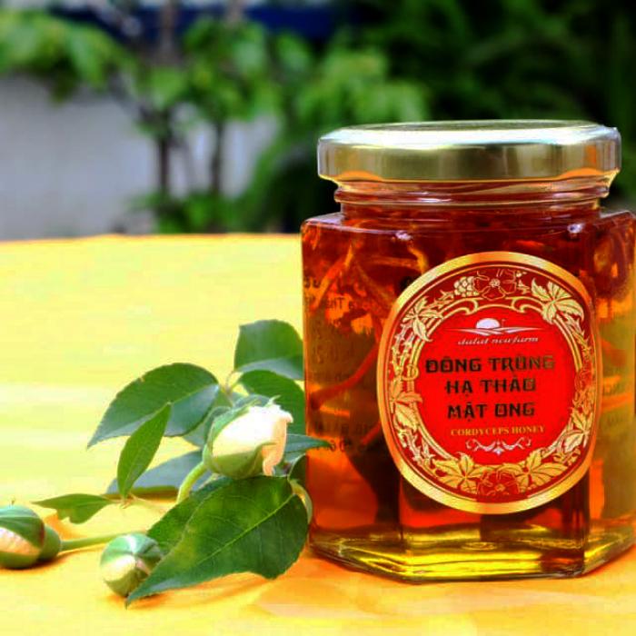 Đông trùng hạ thảo ngâm mật ong Đà Lạt Đông trùng hạ thảo ngâm mật ong Đà Lạt