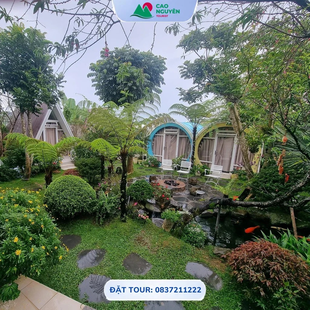 Home Coffee Kon Tum​ - hình 2