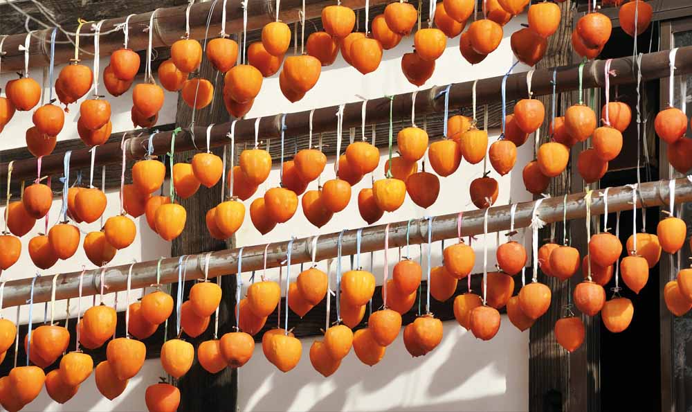 Hồng treo gió Đà Lạt làm quà Hồng treo gió Đà Lạt làm quà