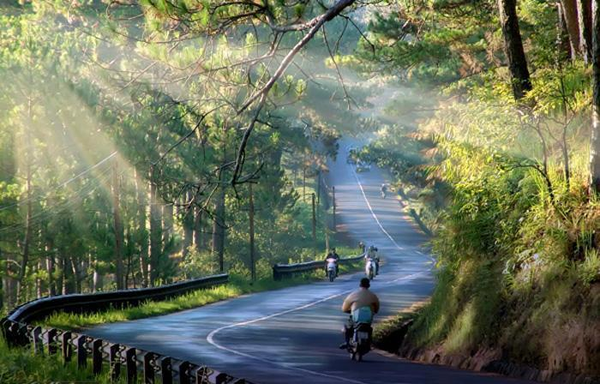 Kinh nghiệm phượt Đà Lạt bằng xe máy cho người mới bắt đầu