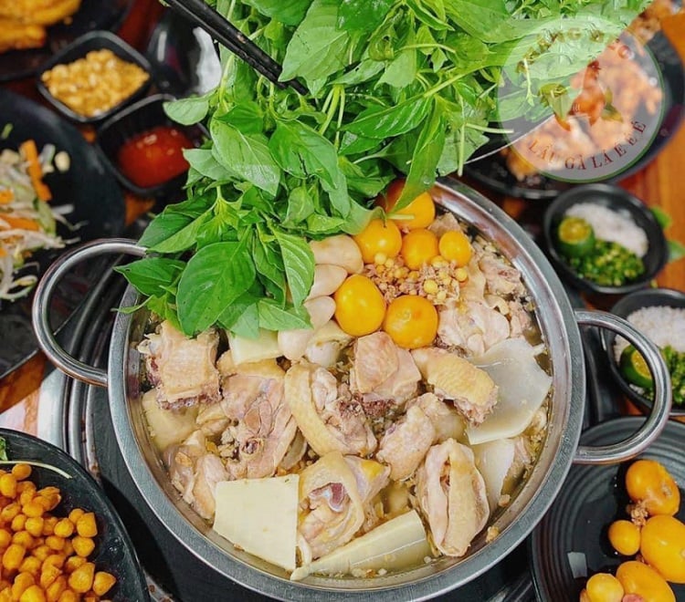 Lẩu gà lá é Đà Lạt Lẩu gà lá é Đà Lạt