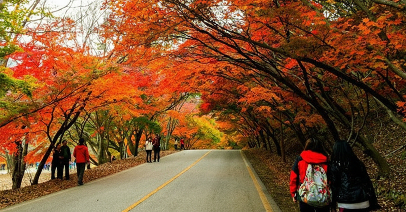 Rừng lá phong đỏ Đà Lạt