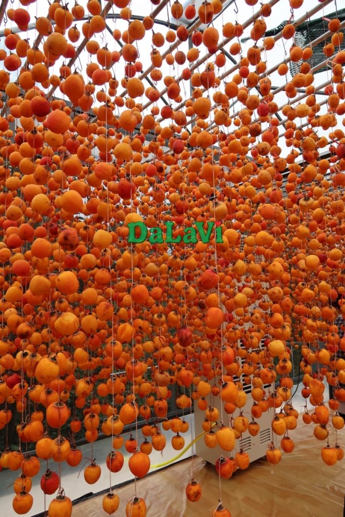 Hồng treo gió Đà Lạt Hồng treo gió Đà Lạt