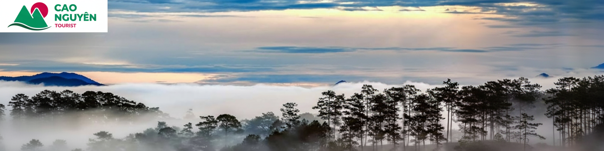 Đà Lạt mộng mơ